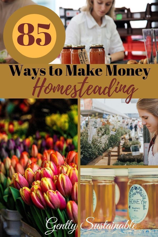 the words 85 ways to make money homestaying surrounded by images of tulips and jars