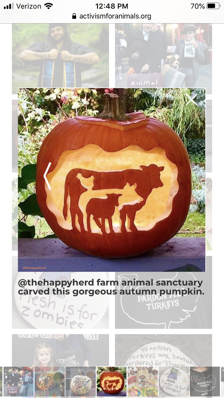 a pumpkin carved to look like an animal and its family is depicted in the carving