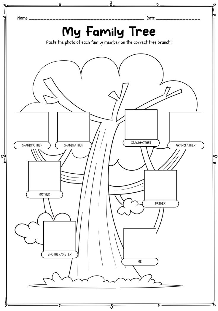 the family tree worksheet