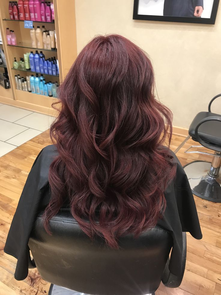 Cherry Merlot Hair, Black Cherry Balayage, Cherry Brunette, Black Cherry Hair Color, Black Cherry Hair, Cherry Hair Colors, Summer Hair Color Ideas, Merlot Wine, Dark Brunette Hair