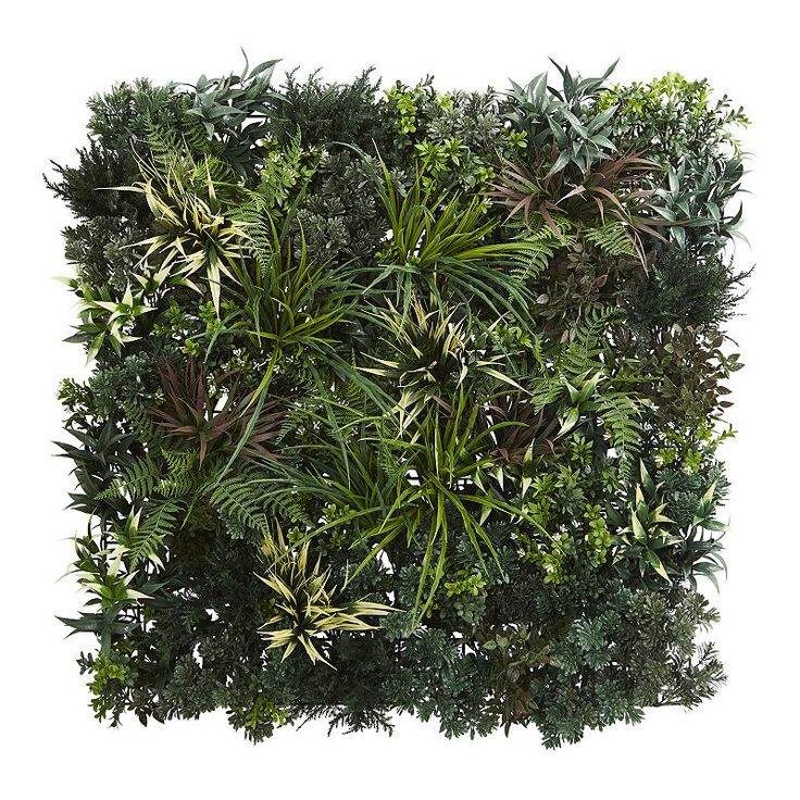 the top view of a green plant wall