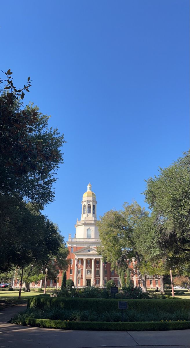 a clock tower on top of a building in the middle of trees and bushes around it