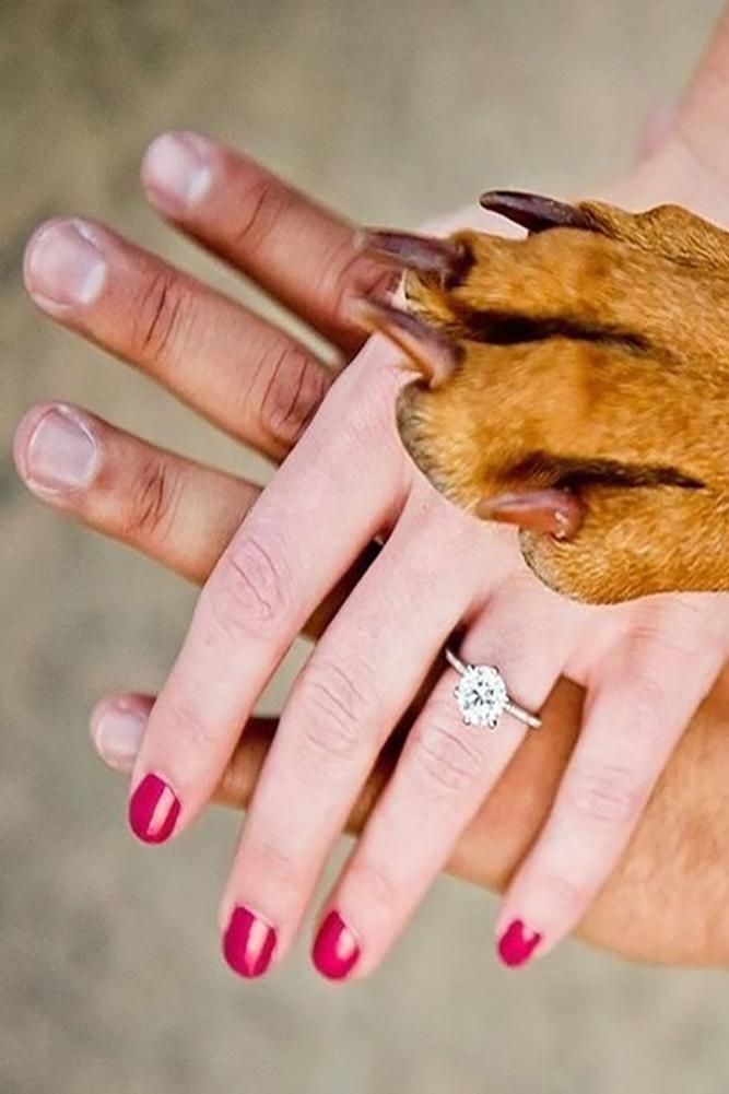 two hands holding a dog's paw with a diamond ring on it