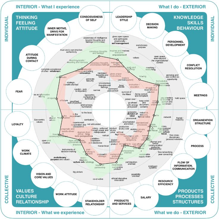 a circular diagram with words and pictures on it