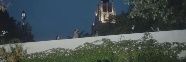 birds are sitting on the ledge of a building with a clock tower in the background