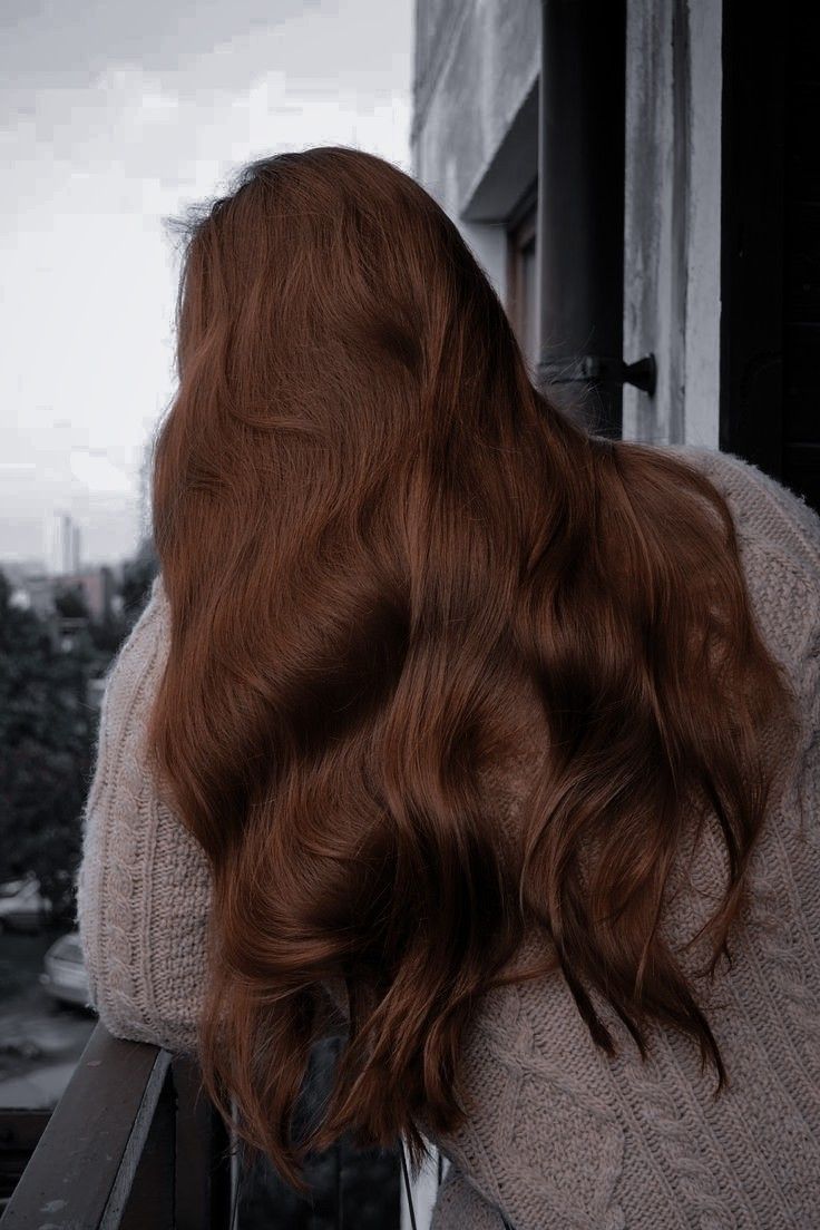 Dark Redhead Hair, Dark Ginger Hair Aesthetic, Dark Orange Hair, Chestnut Brown Hair, Chestnut Hair, Chestnut Hair Color, Red Hair Inspo, Brown Hair Looks, Brown Hair Inspo