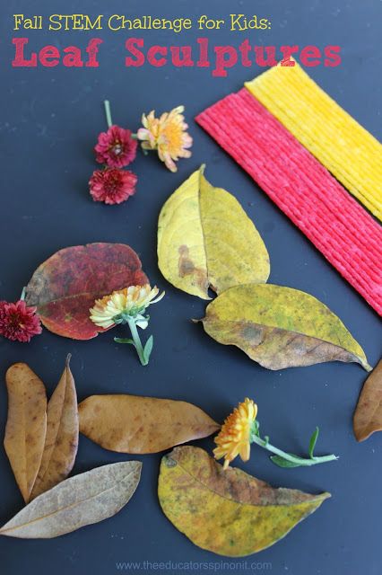 FALL STEM Challenge for Kids: Leaf Sculptures. After creating their sculpture, students can describe & write about them for language practice. Fall Stem Challenges, Fall Leaves Activities, October Preschool, Stem Activities For Kids, Language Practice, Fall Science, Stem Ideas, Fall Activity, Fall Stem