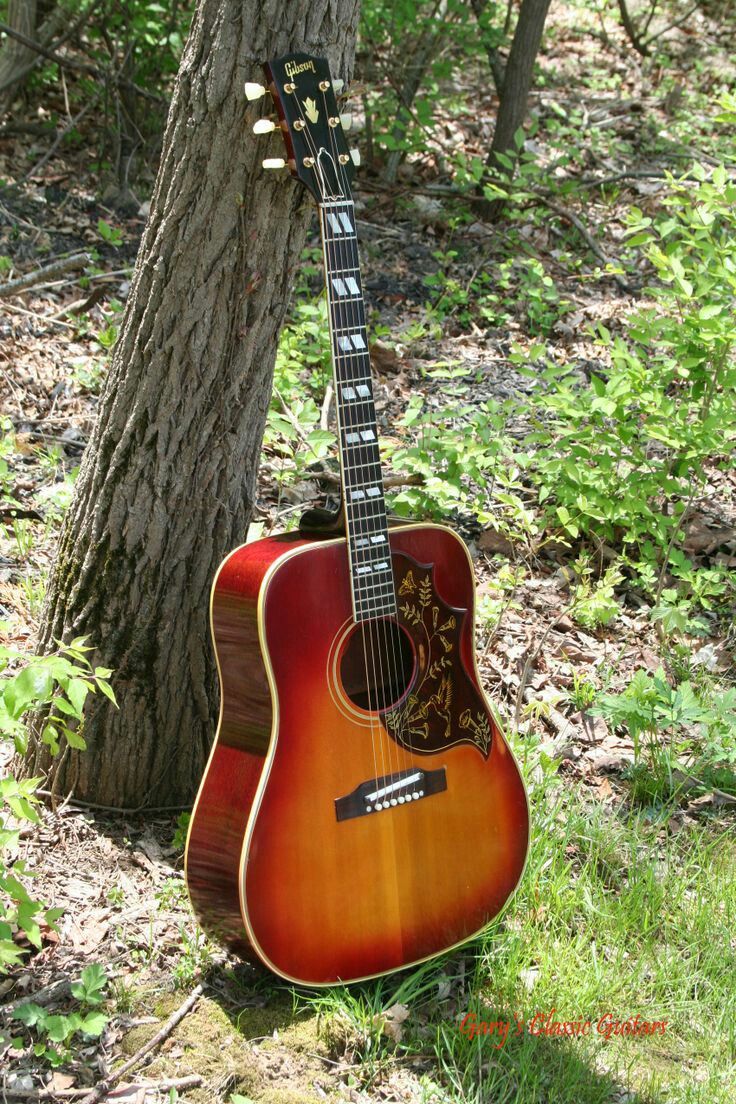 an acoustic guitar is propped against a tree in the woods with its strings still attached