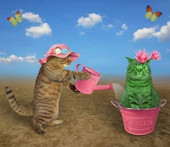 a cat in a pink hat is watering flowers