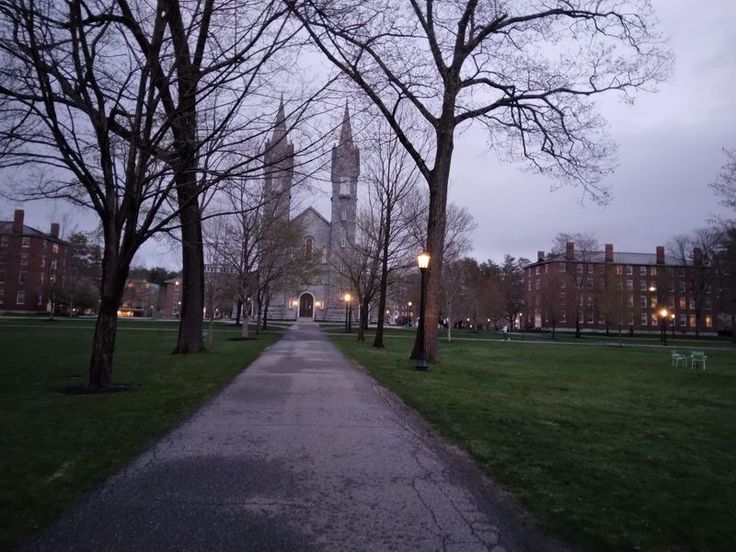 a walkway leading to a large building in the distance