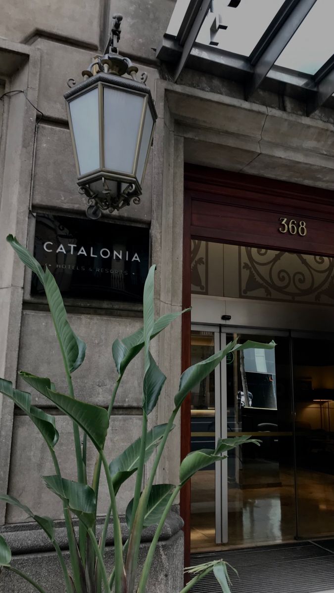 a tall plant is in front of a building with a sign that says catalonia