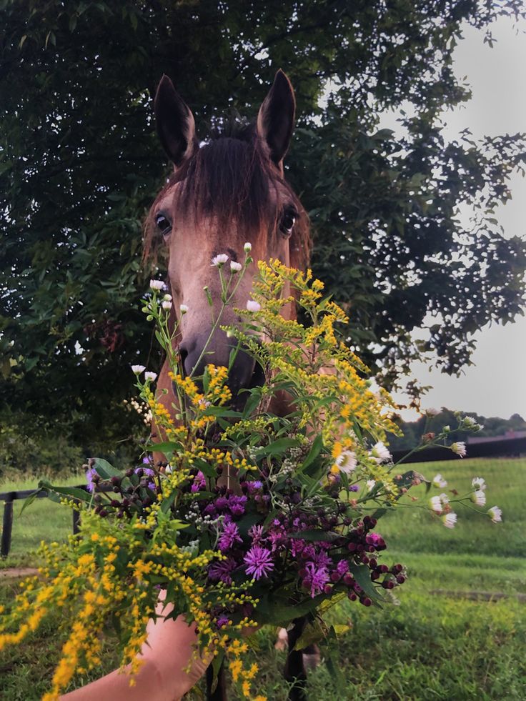 a horse is standing in the grass with flowers on it's face and head