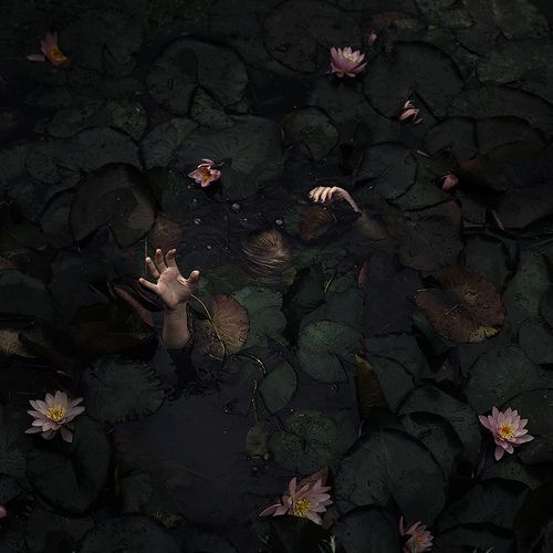 a person floating in the water surrounded by lily pads and rocks with their hands up