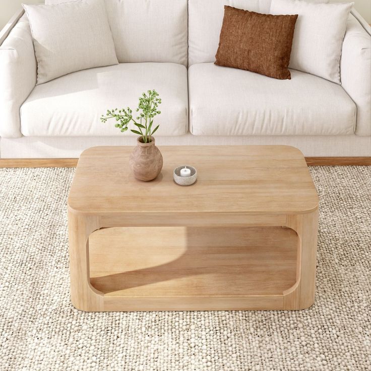 a living room with a white couch, coffee table and potted plant in it