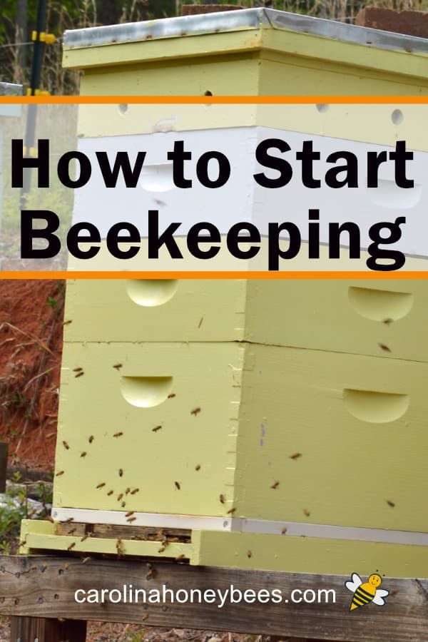 a beehive with the words how to start beekeepering