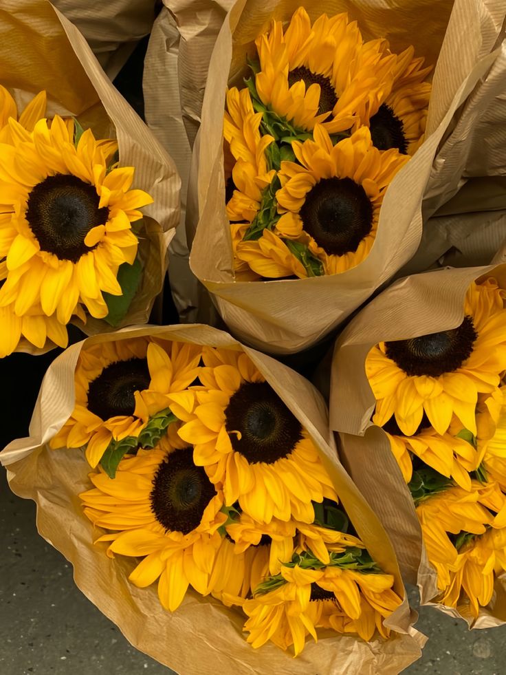 sunflower, sunflowers, yellow flower, flowers, prettiest flowers, flower bouquet, sunflower aesthetic, sunflower wallpaper, wallpaper, Couple Photo Aesthetic, Summer Aesthetic Wallpaper, Couple Photo Ideas, Goals Couple, Poses Couple, Boquette Flowers, Aesthetic Couple, Sunflower Bouquets, Sunflower Wallpaper