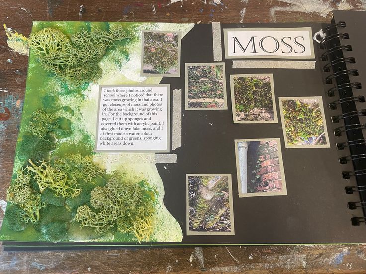 an open book with pictures on it and moss written in the bottom right hand corner