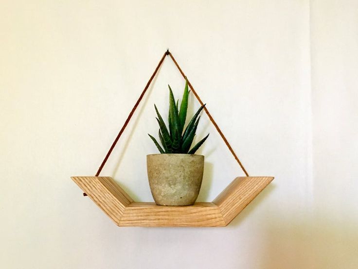 a potted plant sitting on top of a wooden shelf next to a white wall