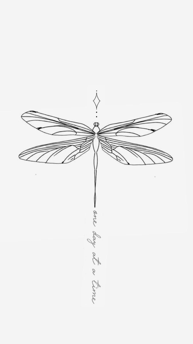 a black and white drawing of a dragonfly