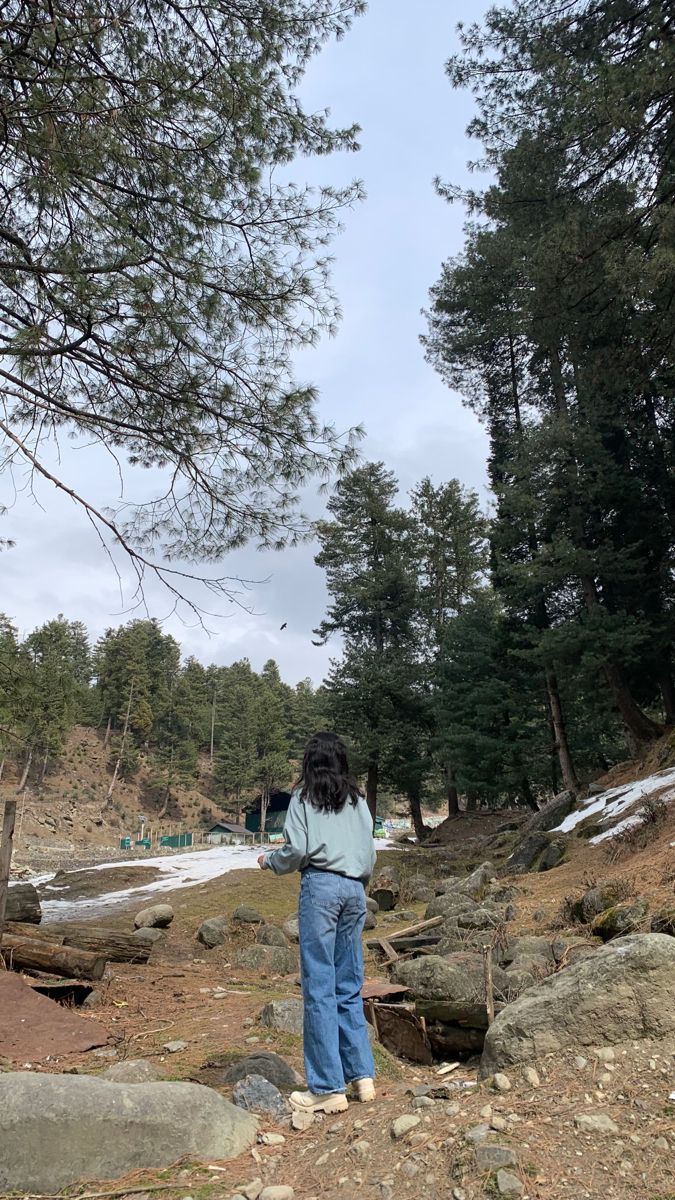 a woman standing on top of a rocky hillside next to a pine tree filled forest