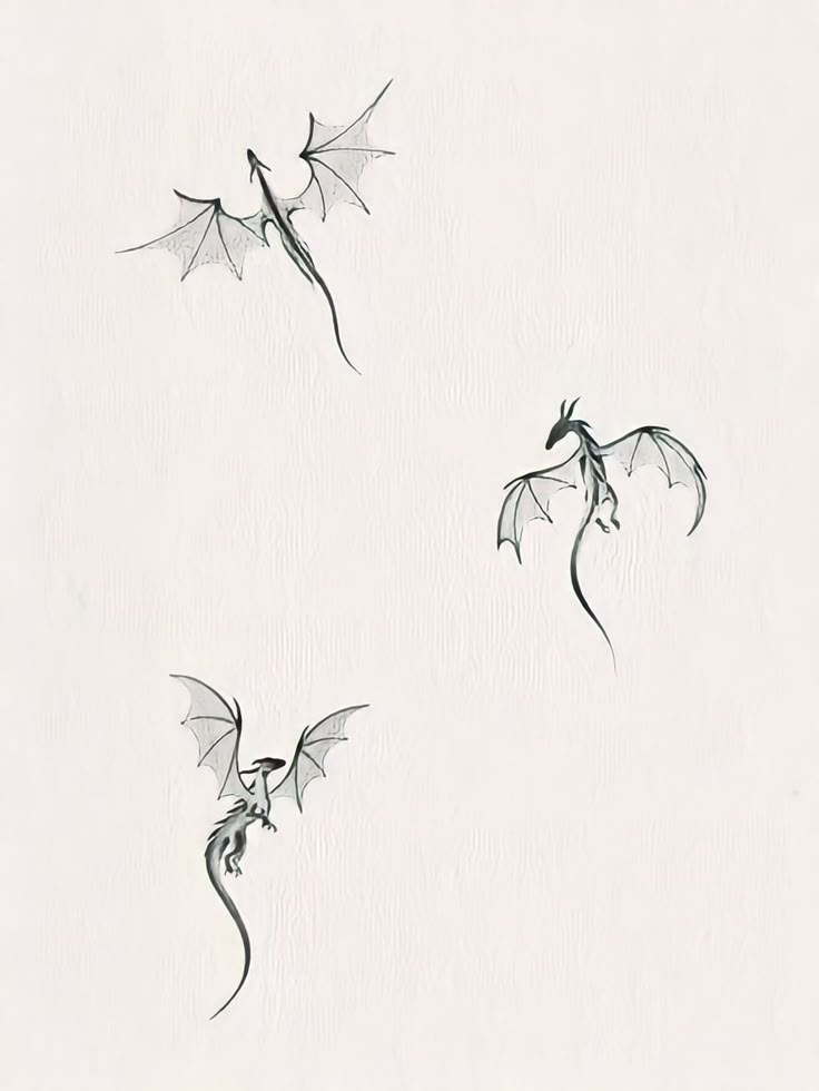 three dragon drawings flying in the air