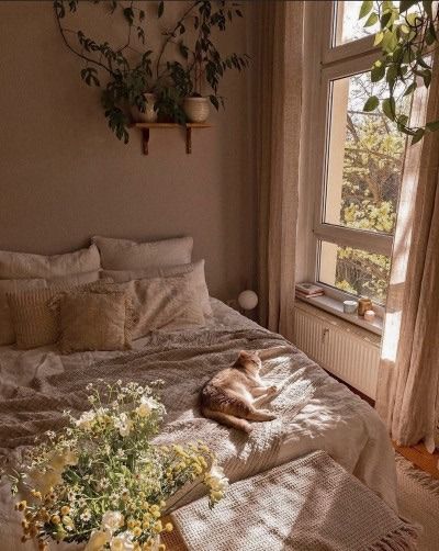 a dog laying on top of a bed in a bedroom next to a plant and window