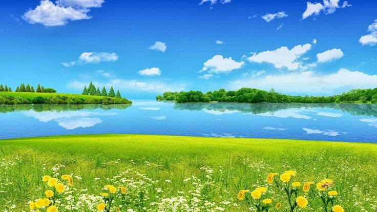 an image of a beautiful green field with flowers and water in the background on a sunny day