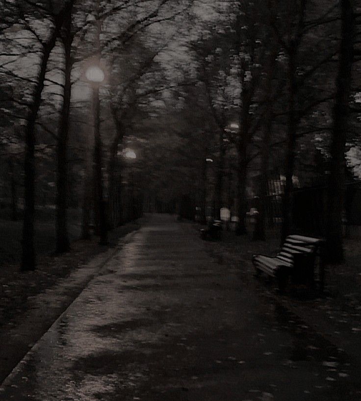 an empty park with benches and trees in the background at night, lit by street lights