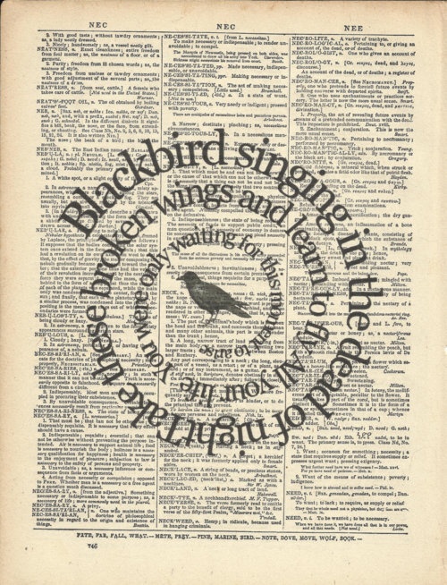 an old book with the words blackbird singin'in it and a bird on top