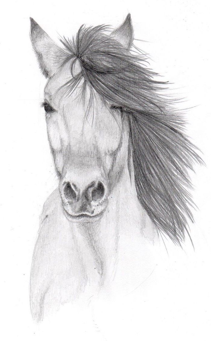 a pencil drawing of a horse with long hair