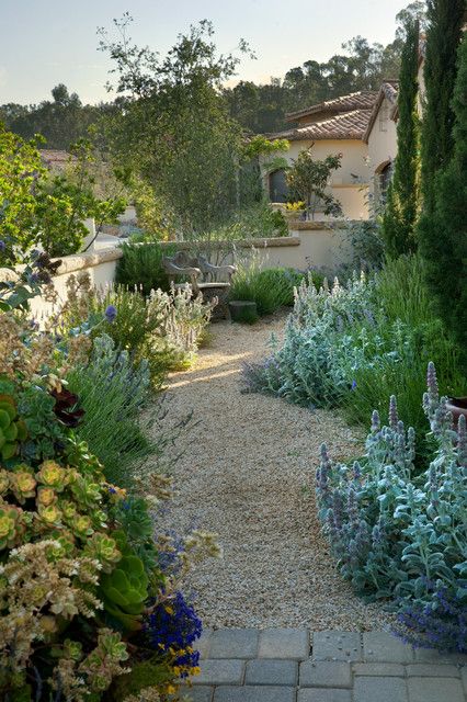 an outdoor garden with lots of flowers and trees