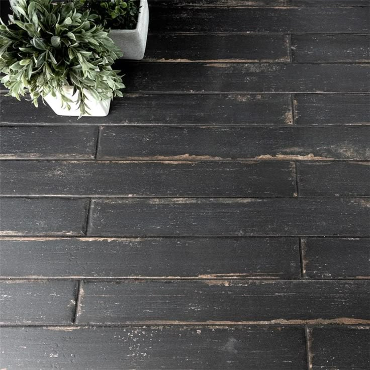 a potted plant sitting on top of a wooden floor