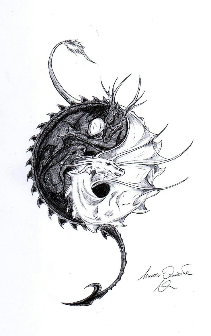 a black and white drawing of a dragon with its head in the shape of a skull