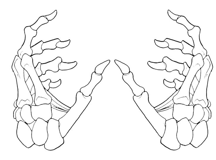 two hands holding each other with their fingers