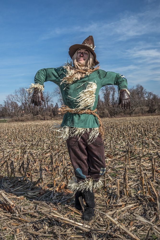 a scarecrow standing in a corn field with his arms out and hands on his hips