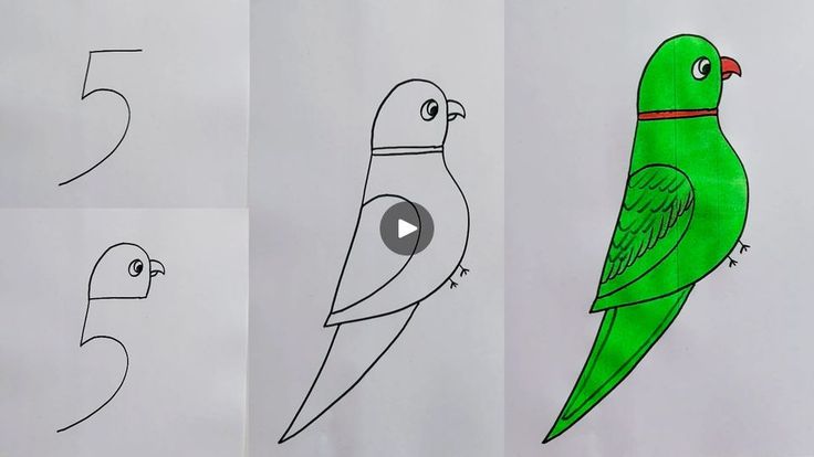 an image of how to draw a green bird with numbers on it's face