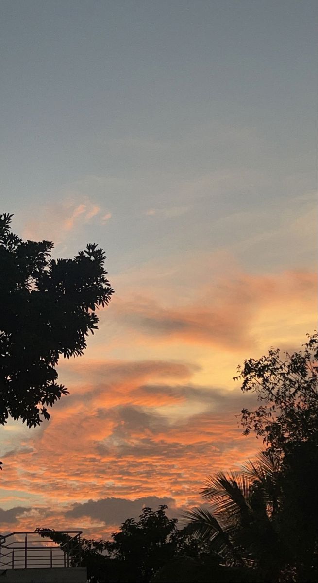 the sun is setting behind some trees and fenced in area with benches on it