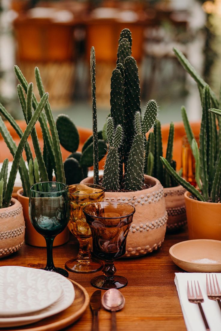 a table topped with lots of potted plants next to plates and utensils