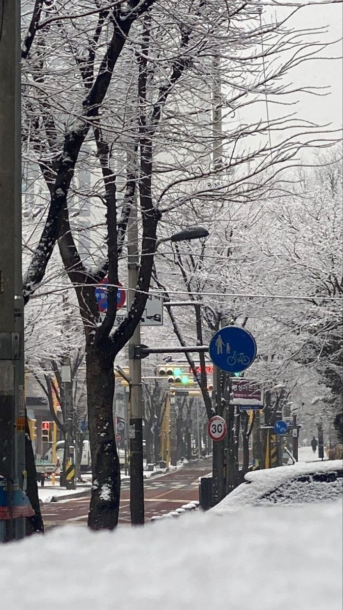 snow covered trees and street signs on a snowy day in an urban area with no traffic