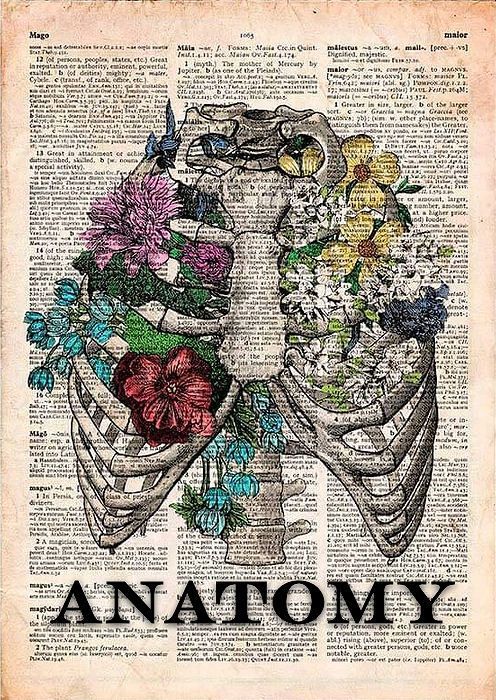 an anatomy book page with flowers and bones on the front, in black lettering that reads anatomy