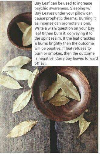 well this is cool as hell Magick Spells, Magical Herbs, Herbal Magic, Baby Witch, Witch Spell, Bay Leaf, Wiccan Spells, Spells Witchcraft, Healing Herbs