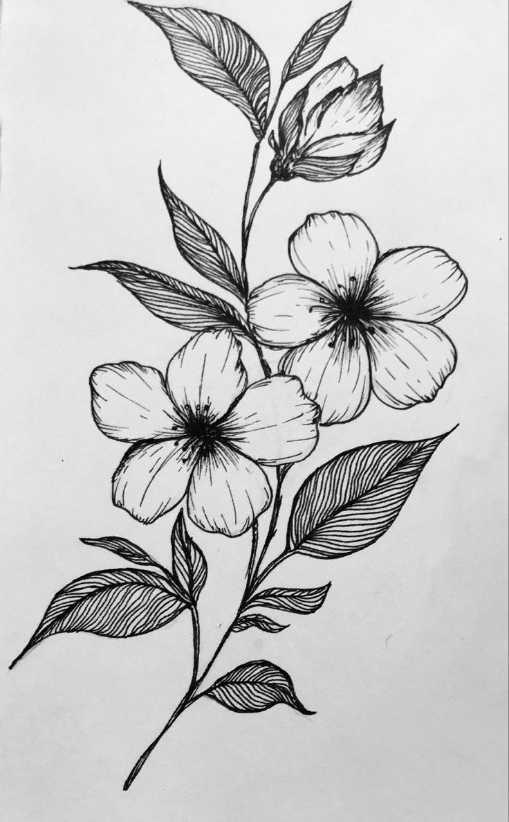 Flower garden Floral Art Sketch, Nature Drawings Simple Sketch Flowers, Floral Pencil Drawings, Drawing Ideas Nature Flower, Sketchbook Flowers Drawings, What To Draw In A Sketchbook Easy, Flower Art Drawing Sketches Simple, Flower Sketches Easy, Nature Drawing Simple