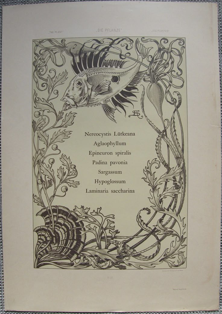 an old book with some writing on the cover and pictures of fish, plants and flowers