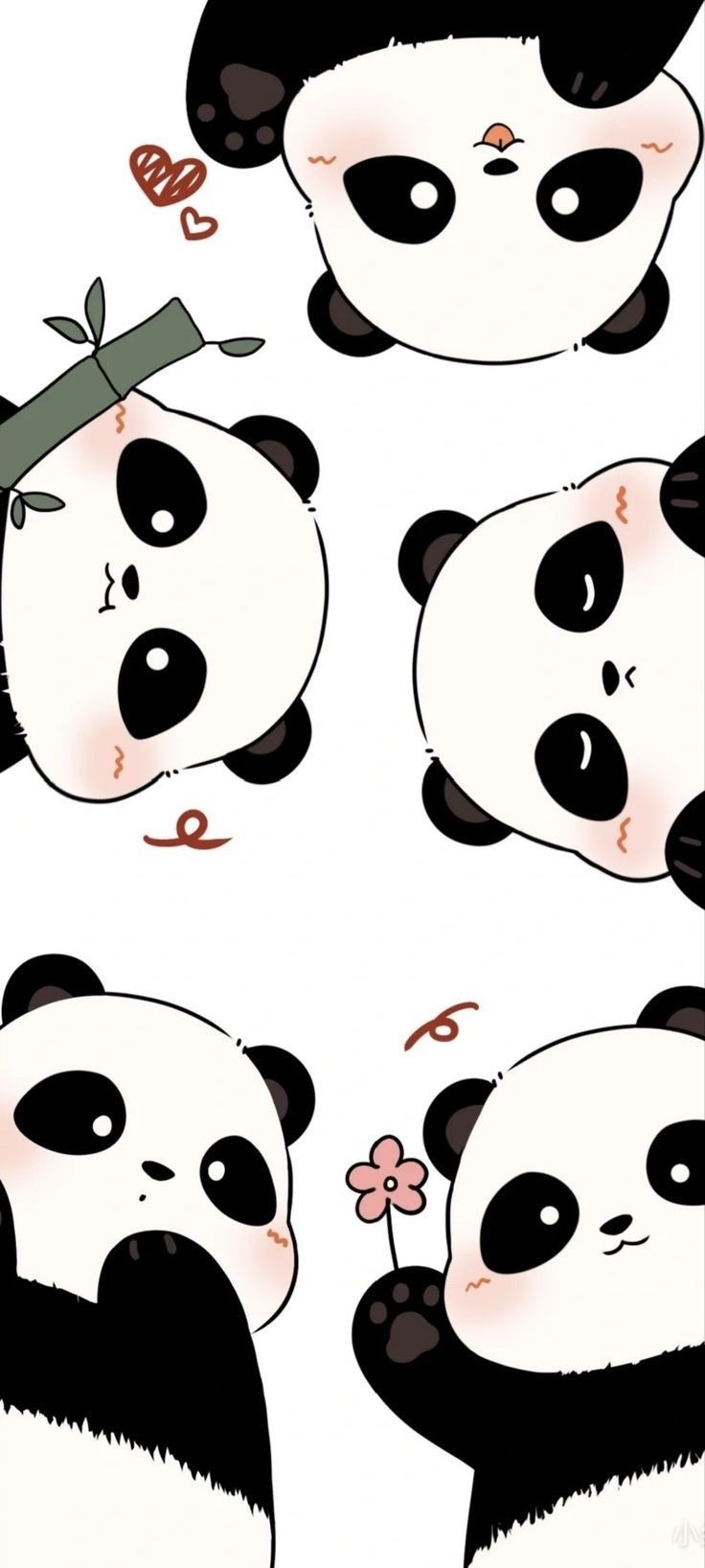 four pandas with different facial expressions, one is holding a flower and the other is eating