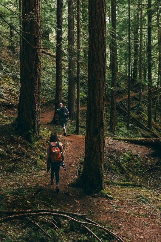 two people walking in the woods with backpacks