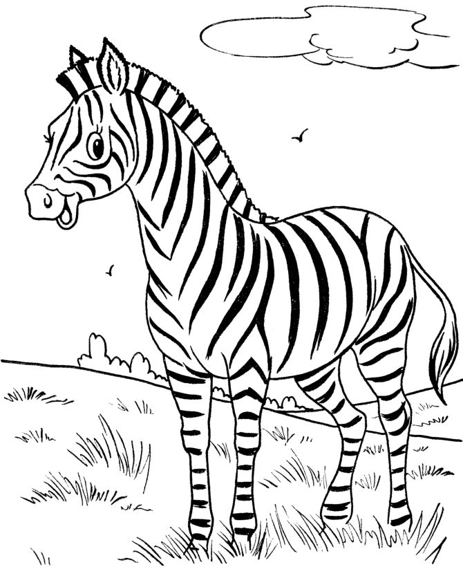 a zebra standing on top of a grass covered field with clouds in the sky behind it