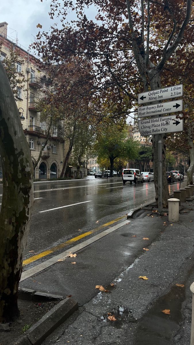 a wet street with cars parked on the side and trees lining the road in front of it