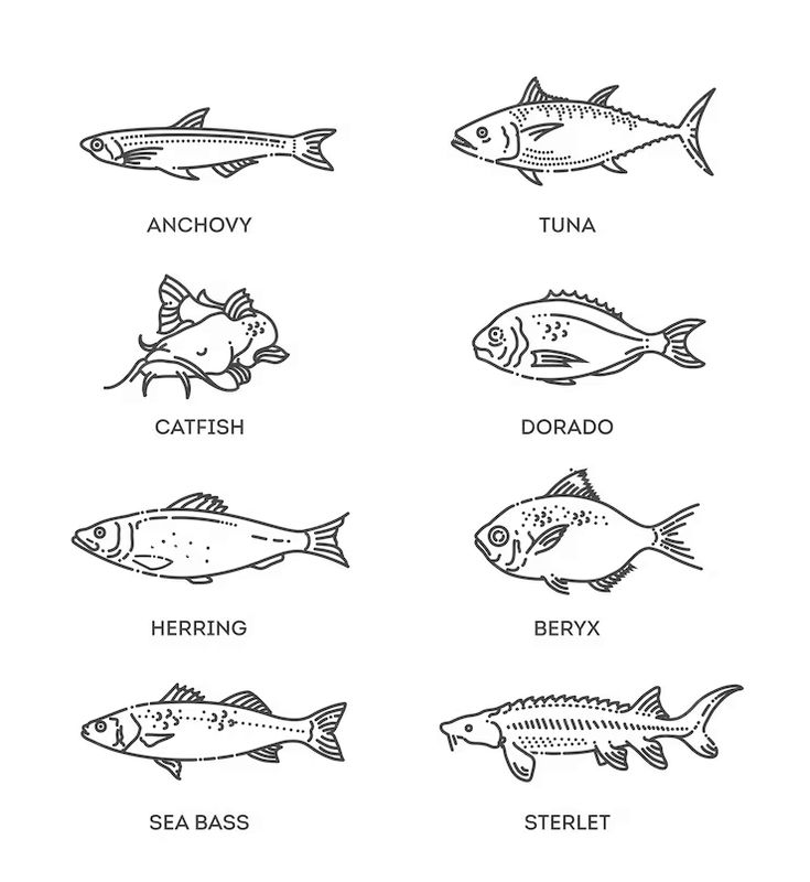 the different types of fish that can be found on this page in an adult coloring book