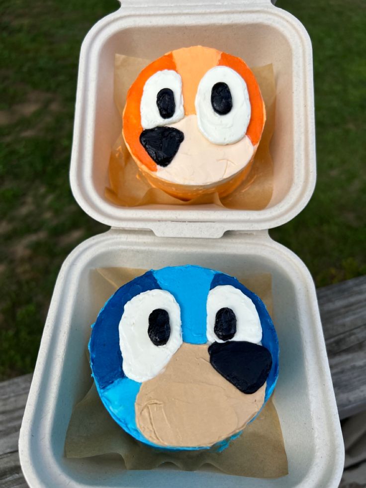 two cupcakes with faces made to look like birds in a box on a picnic table