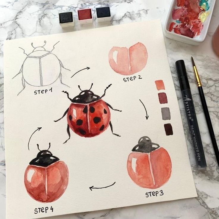 a ladybug drawing with markers and watercolors